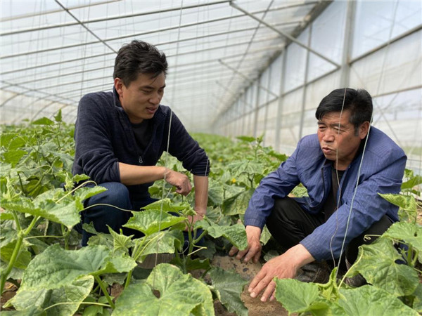 赵胜杰和村内自主创业贫困户进行种植技术交流.jpg