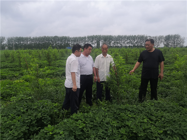 李文华（左二）深入田间了解种植业发展情况。.png
