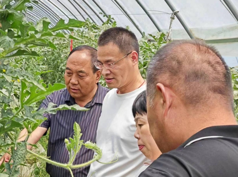 微信截图_20240528191941.png
