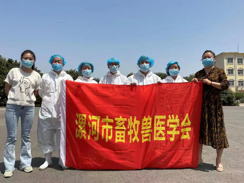 图片1_副本.png