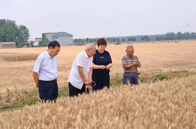 微信截图_20240604170518.png