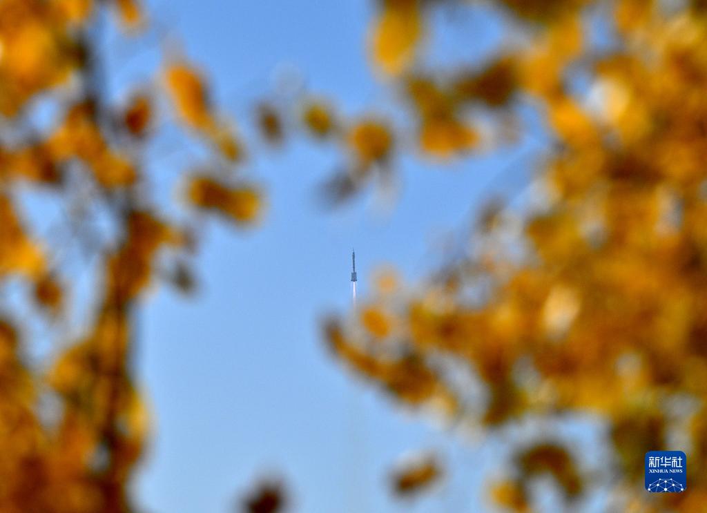 d7deb7383c4d42e495be7fd5d753f739.jpg